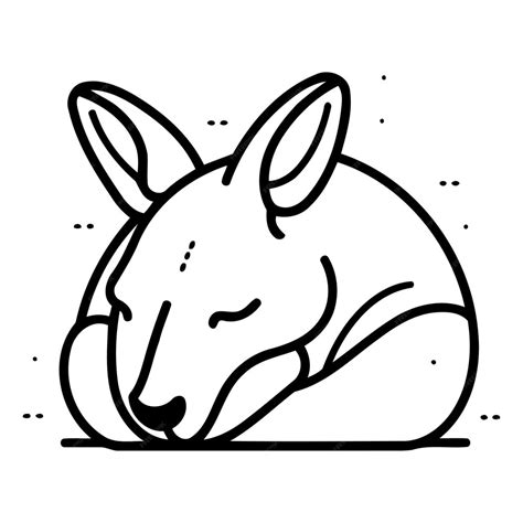 Premium Vector Cute Kangaroo Cartoon Vector Illustration Cute