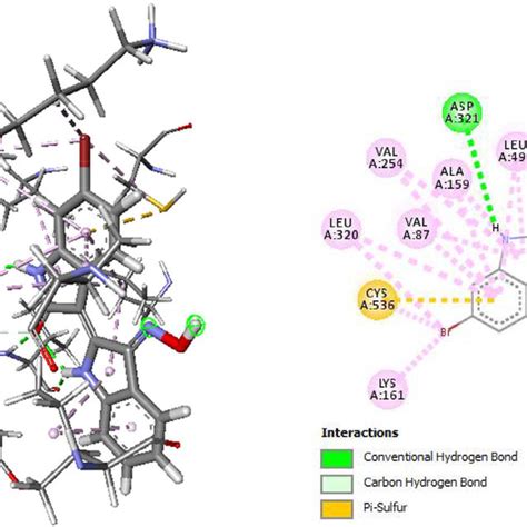 3d Binding Pose A And 2d Intraction Type B Of Ligand Bio With Download Scientific Diagram