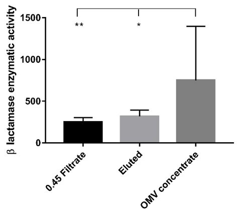 Antibiotics Free Full Text Evaluation Of β Lactamase Enzyme