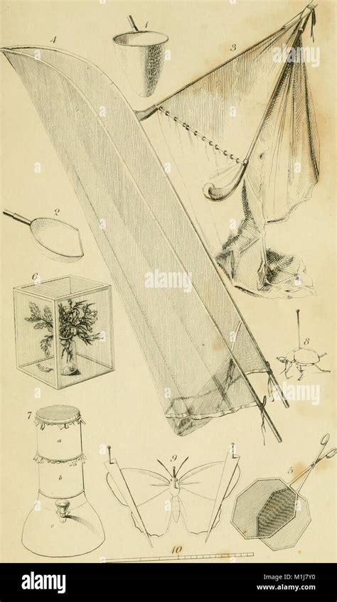 An Introduction To Entomology Or Elements Of The Natural History Of Insects With Plates 1828