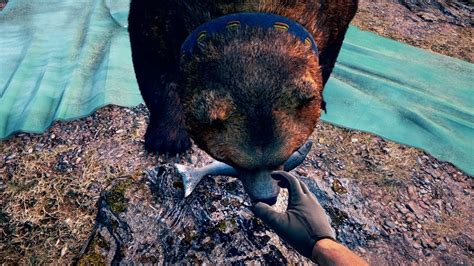 Far Cry 5 Exclusive Gameplay Saving Cheeseburger The Bear Youtube