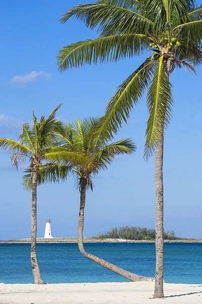 Cushion Of Caribbean Bahamas Providence Island Nassau