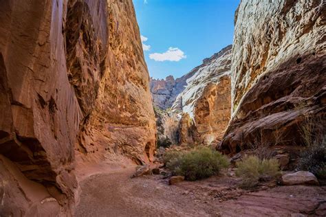 Incredible Capitol Reef National Park Hikes Insiders Utah