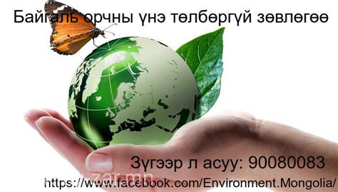 Байгаль орчин газрын талаар зөвлөгөө өгнө.