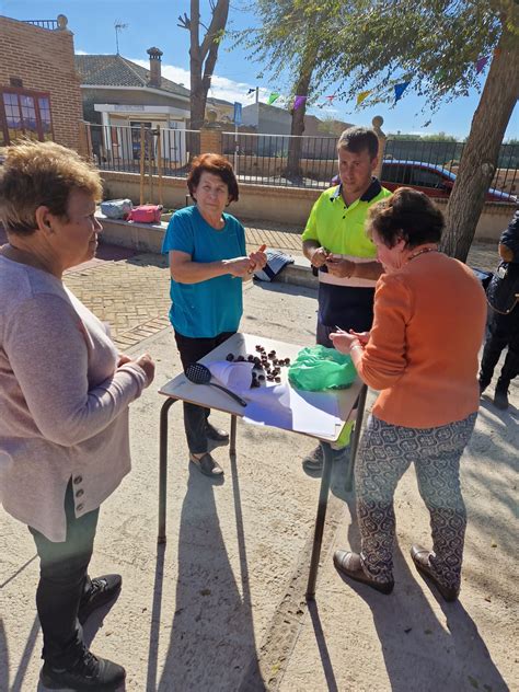 Día de la Castaña 2023 CEIP Inmaculada Concepción Totanés Toledo