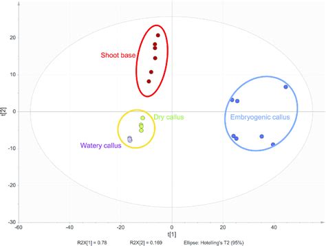 Principal Component Analysis Pca Plot Showing Three Clusters In Download Scientific Diagram