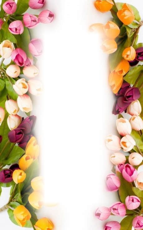 Tulip Frame Design Template Pixiz