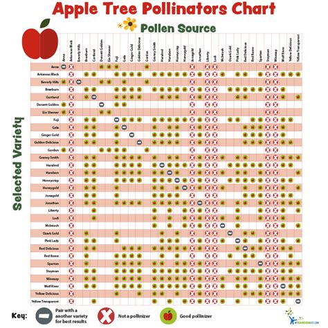 Pollination Charts for Fruit-bearing Trees and Shrubs Dwarf Trees, Trees And Shrubs, Fruit ...