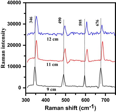 Raman Spectra Of ZnS Films Synthesized At Various 10 11 And 12 Cm