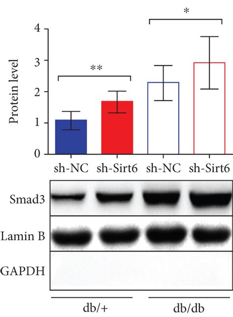 Sirt6 Inhibits Smad3 Transcriptional Activity By Deacetylating It And