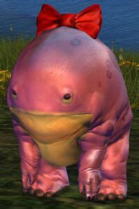 Quaggan Hatchling Guild Wars Wiki Gw W