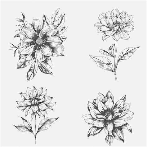 Premium Vector | Sketch art floral vector set
