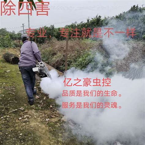 南宁草坪灭红火蚁有效措施 安全措施广西亿之豪有害生物防治服务有限公司