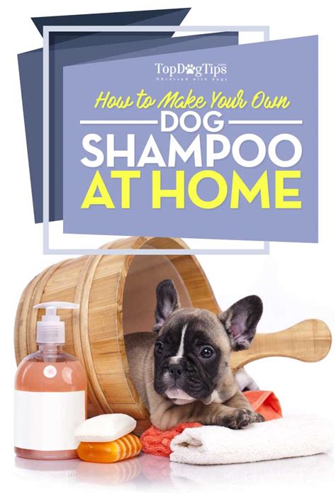 How to Make Homemade Flea Shampoo for Dogs – Top Dog Tips