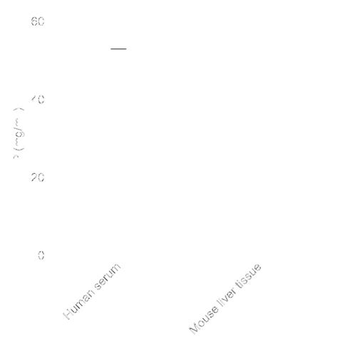 Novus Biologicals Bradford Protein Assay Kit Colorimetric Assays