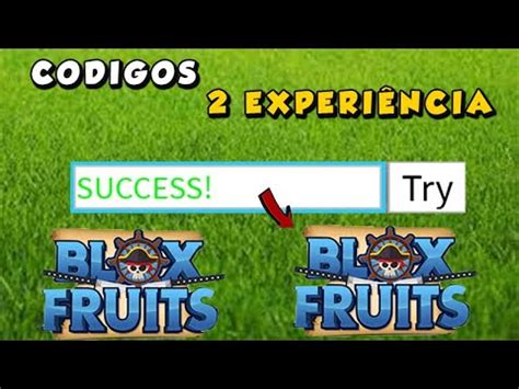 CORREE TODOS OS NOVOS CODIGOS SECRETOS Do BLOX FRUITS E TODOS CODES