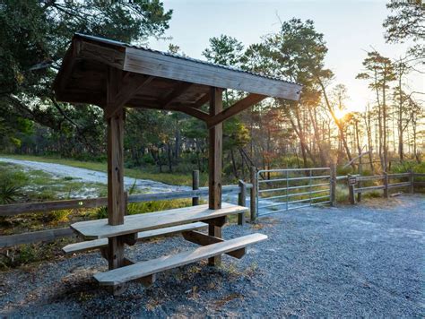 Flatwoods Hiking And Biking Trail In Grayton Beach