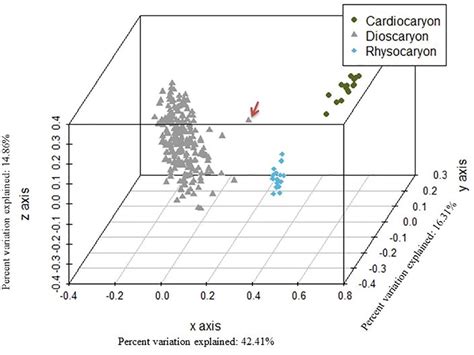 Principal Coordinate Analysis Pcoa D Plot Of The Juglans
