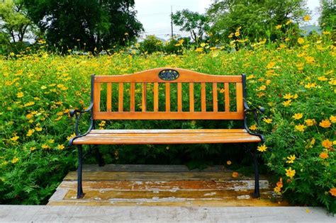 Premium Photo Empty Bench In Park