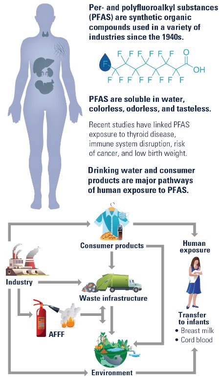 PFAS Lawsuit Claims [2025]: Were You or A Loved One Diagnosed With Cancer or Injured After Being ...