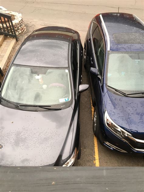 Dude Parked Like An Asshole He Parked Over The Line And Ruined The Last Spot I Said Fuck It