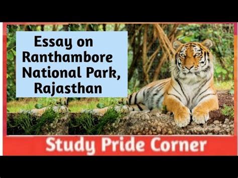 Ranthambore National Park Rajasthan Essay On Ranthambore National