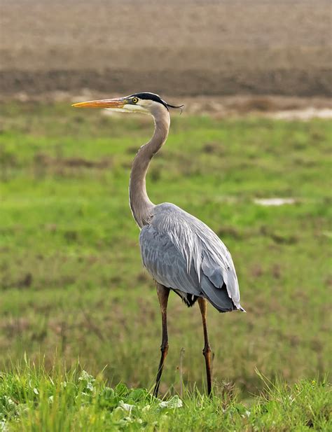 Surveying The Kingdom Photograph By Loree Johnson Pixels