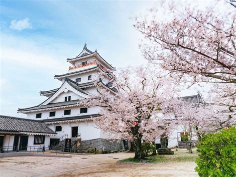 唐津城 観光地 【公式】佐賀県観光サイト あそぼーさが