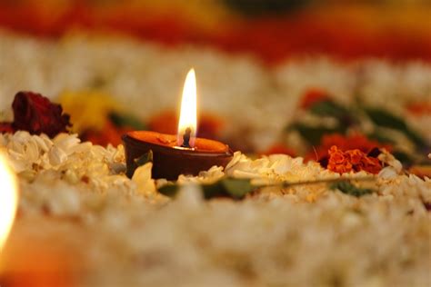 Deusi Bhailo and Tihar Songs - Enjoy the Festival of Lights - GadgetngizmoGuru