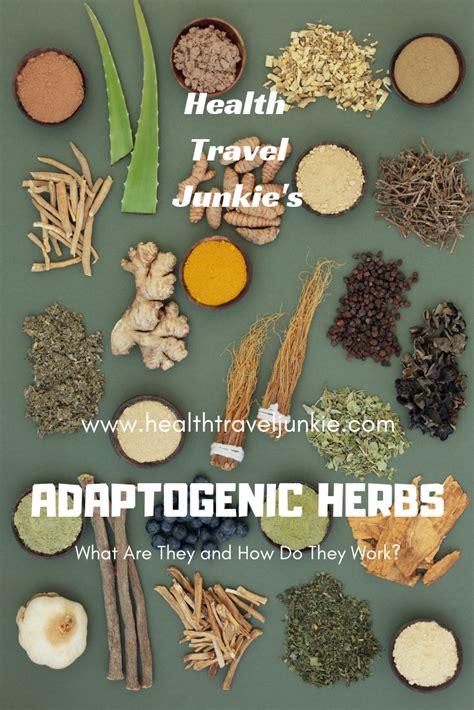 Discover the Power of Adaptogenic Herbs