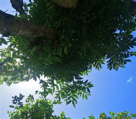 Ang Ating Kalikasan