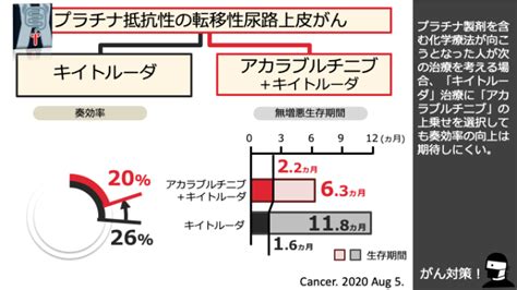 日本がん対策図鑑 【尿路上皮がん：二次治療】「カルケンス＋キイトルーダ」vs「キイトルーダ」