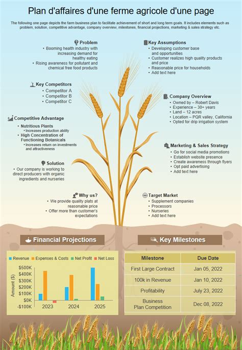 Échantillons de plans d affaires agricoles incontournables avec modèles