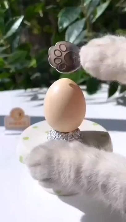 Fuck Meme Subido Por Pchead Memero Memedroid