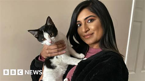 Walsall Cat Shot Through Eye Lucky To Be Alive Bbc News