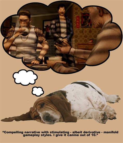 What do real-life sleeping dogs think about Sleeping Dogs? Probably ...