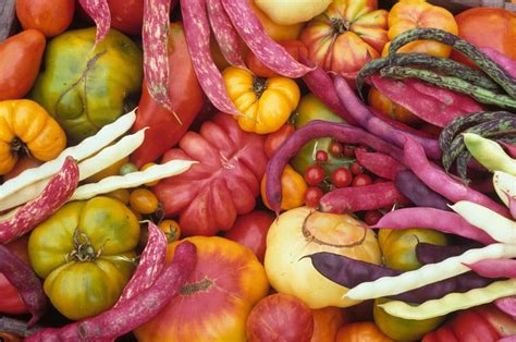 How to Store Your Harvest