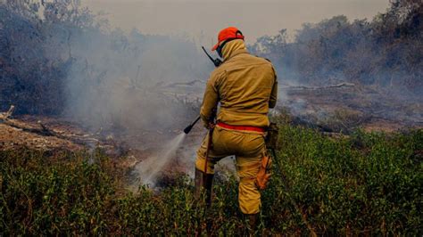 Por Que O Pantanal Vive A Mais Intensa Tragédia Ambiental Em Décadas