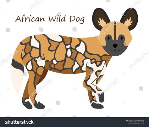 African Wild Dog Lycaon Pictus Cute Stock Vector (Royalty Free) 2247686171 | Shutterstock