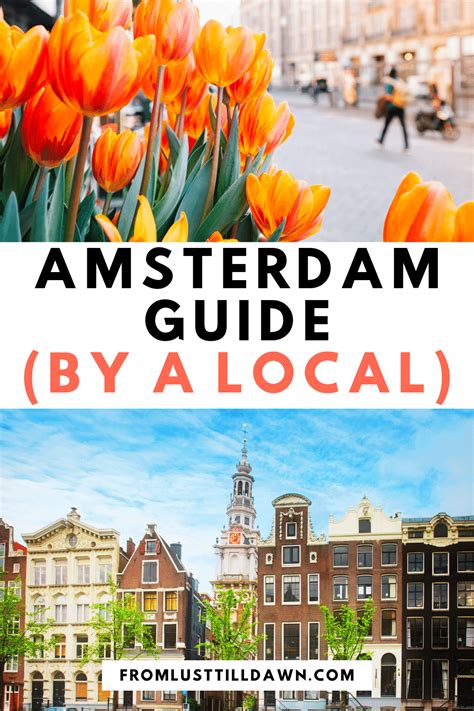 Amsterdam Guide By A Local • Sarah Chetrits Lust Till Dawn