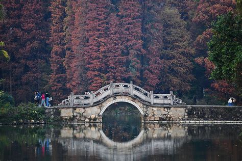 第二个国家植物园来了园内保育兜兰等珍稀濒危植物643种 邓华 新浪新闻