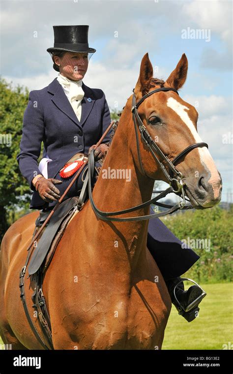 Side Saddle Lady Rider Stock Photo Royalty Free Image 27069562 Alamy