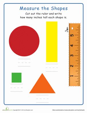 Measuring Shapes Worksheet Education