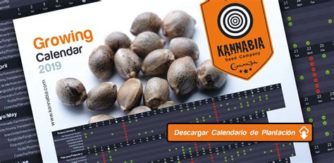 Calendario Cultivo Marihuana 2019 Kannabia