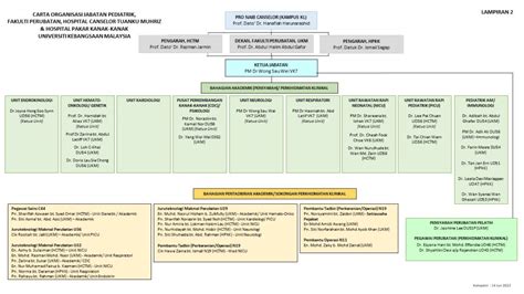 Carta Organisasi Jabatan Pediatrik Fakulti Perubatan
