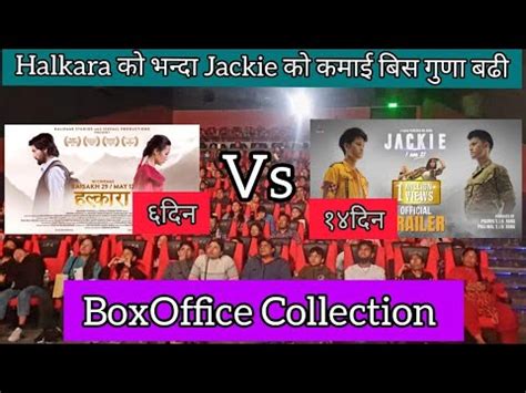 Halkara Vs Jackie I Am 21 Ll Box Office Collection Ll Dhiraj Magar Ll