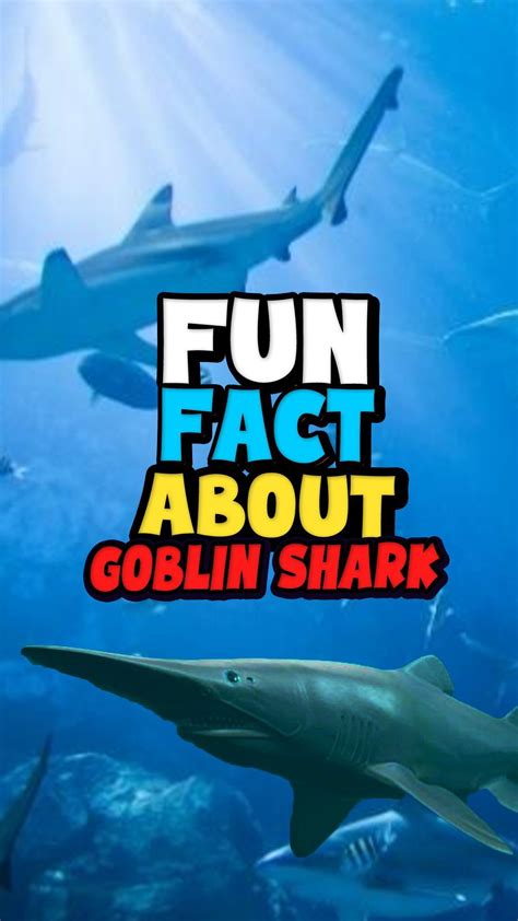 15 amazing facts about goblin sharks that will surprise you – Artofit