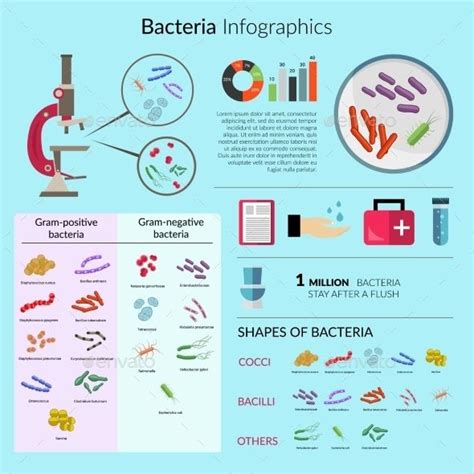 Bacteria Infographic Set Infographic Infographic Templates Science