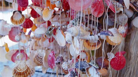 Colorful Sea Shells Ornaments In Wind 11365778 Stock Video At Vecteezy