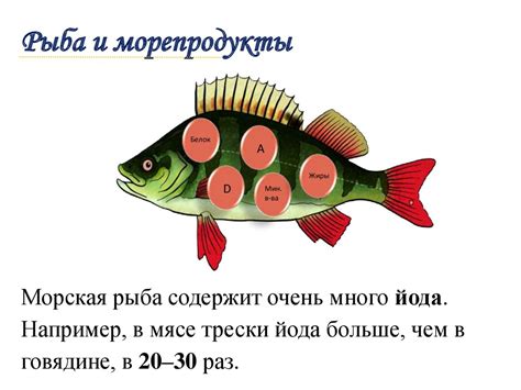 Рыба и морепродукты. Технология первичной обработки рыбы - online ...